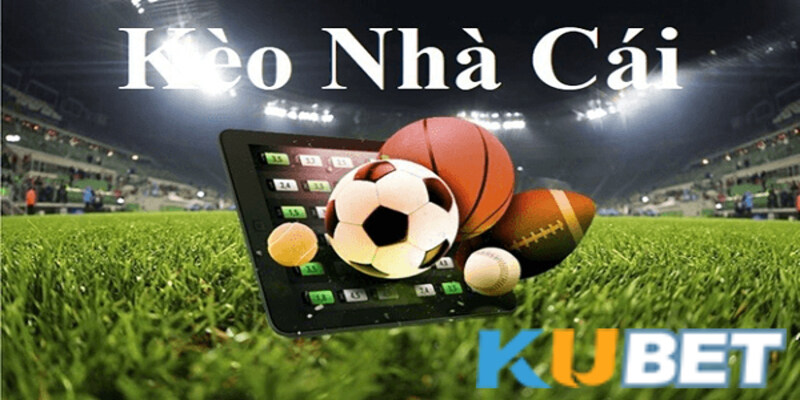 Bí kíp soi kèo nhà cái Kubet chuẩn không cần chỉnh 4 Người chơi áp dụng kinh nghiệm soi kèo để ăn thưởng từ Kubet